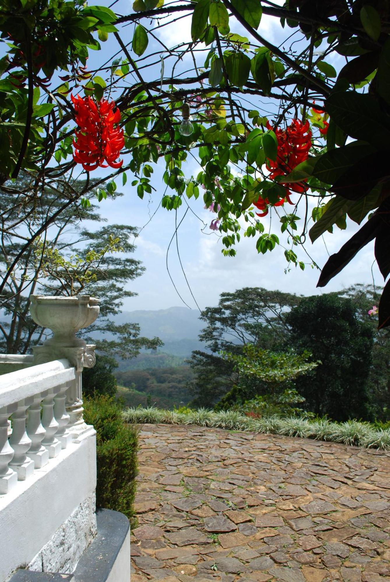 Ashburnham Estate Hotel Elkaduwa Exterior photo